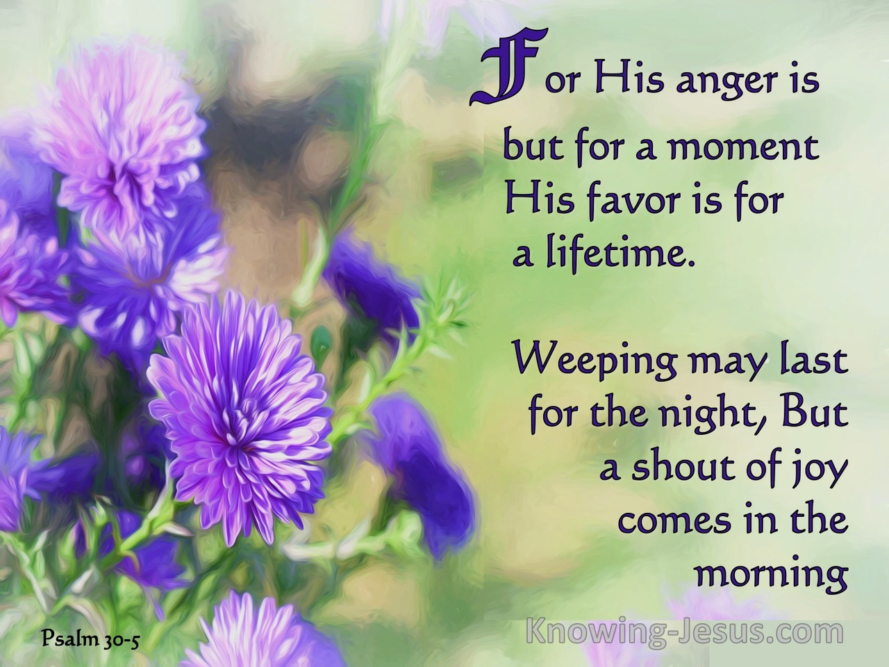 Psalm 30:5 Sorrow to Joy (devotional)01:25 (purple)